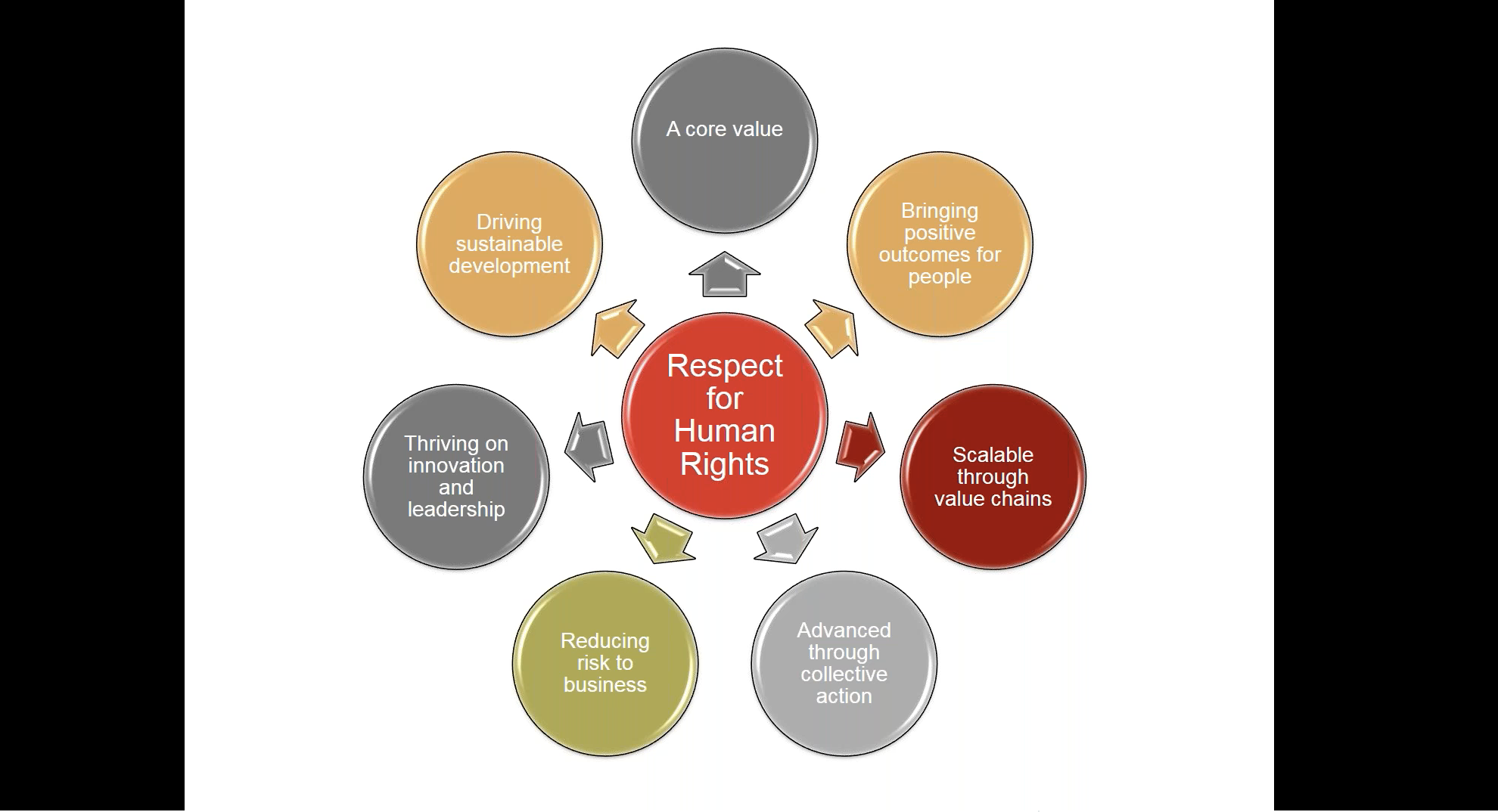 Webinar: Relationship Between the UN Sustainable Development Goals and the Guiding Principles