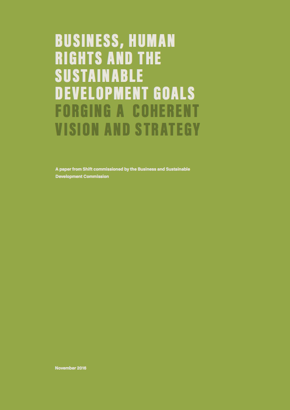 Business, Human Rights and the Sustainable Development Goals: Forging a Coherent Vision and Strategy