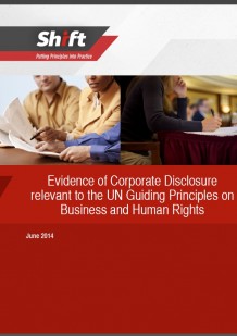 Evidence of Corporate Disclosure Relevant to the Guiding Principles