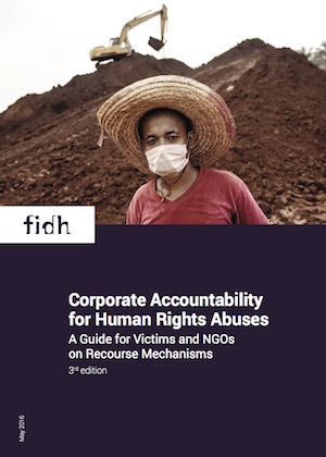 Corporate Accountability for Human Rights Abuses: A Guide for Victims and NGOs on Recourse Mechanisms