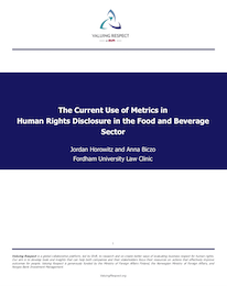 The Use of Metrics in Human Rights Reporting in the Food and Beverage Sector